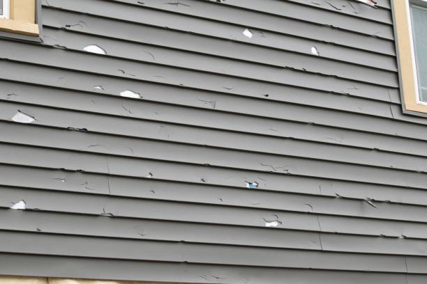 Trusted Mount Shasta, CA Siding Experts